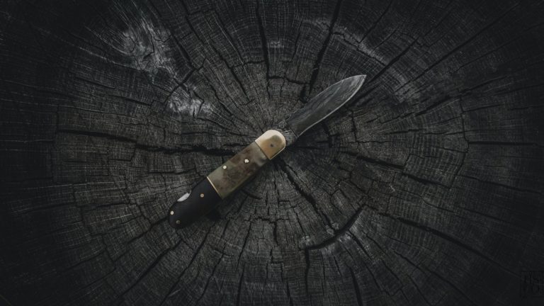 Ap 49 : “Un couteau à champignons?”